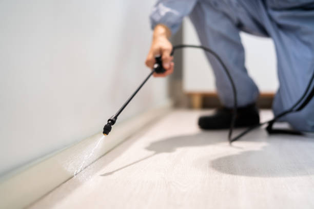 Bed Bug Pre-Treatment Preparation Assessment in Stanfield