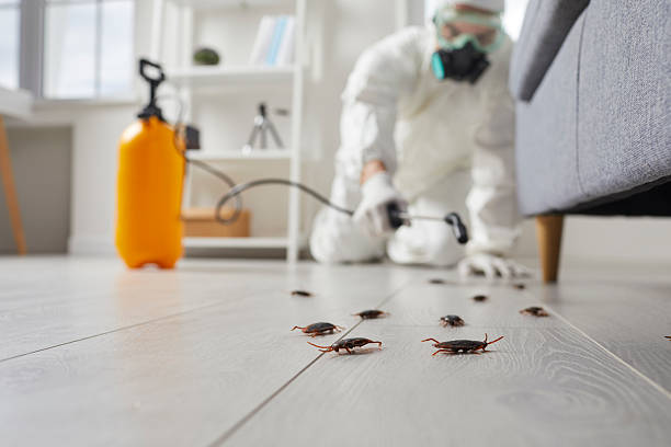 Post-Treatment Bed Bug Interceptor Monitoring in Stanfield