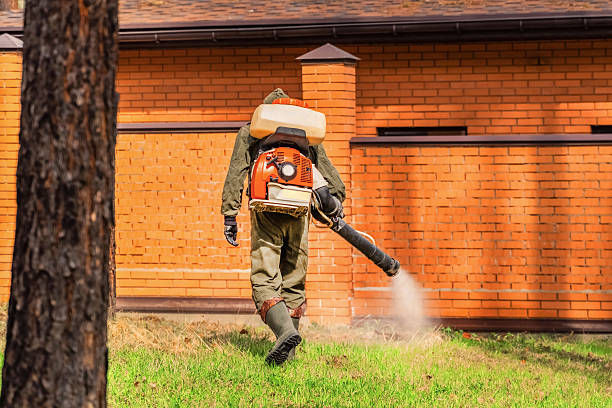 Bed Bug Clearance Verification and Documentation in Stanfield